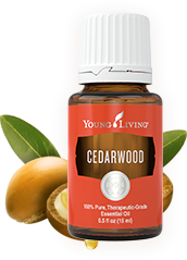 AROMATİK YAĞ MASAJI